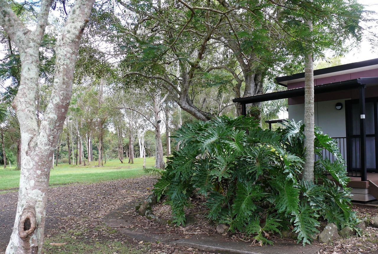 Lismore Lake Holiday Park Ngoại thất bức ảnh